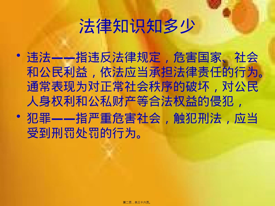 遵纪守法主题班会(共35张).pptx_第2页