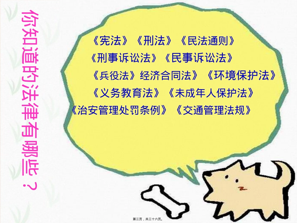 遵纪守法主题班会(共35张).pptx_第3页