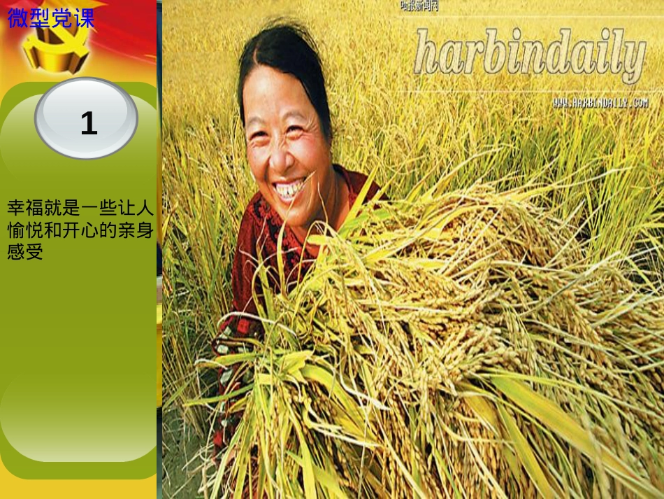 做一名幸福的共产党员概要.ppt_第3页