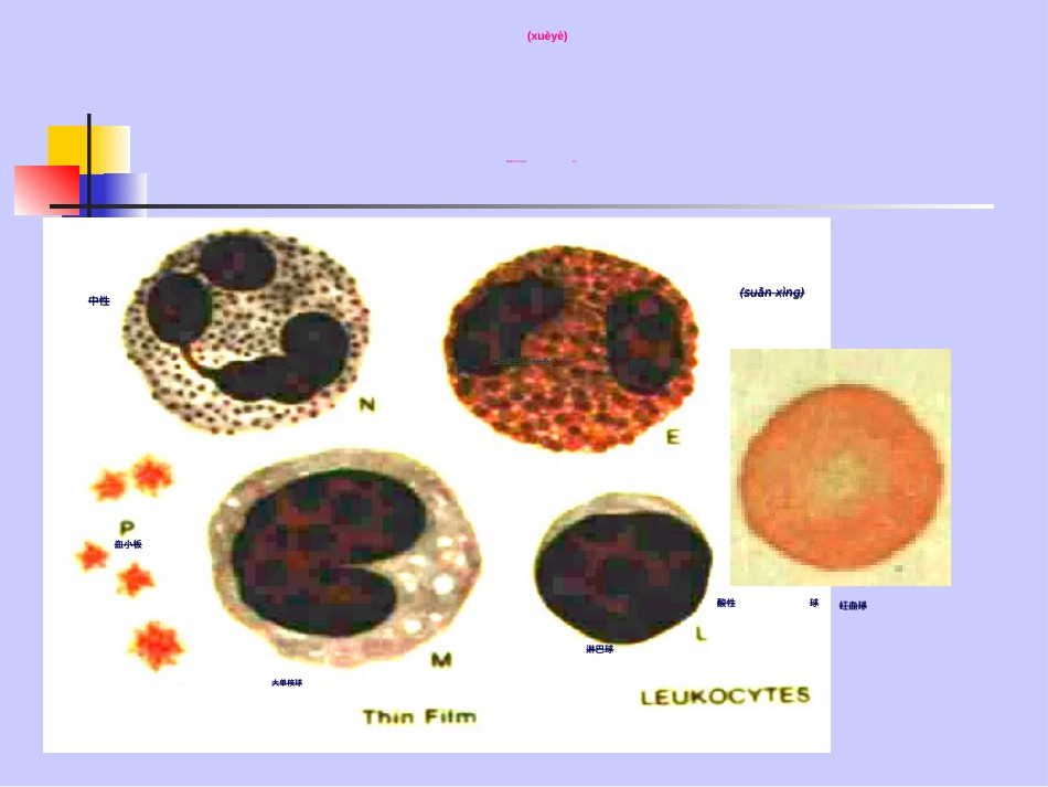 薄血膜疟原虫的形态.ppt_第1页