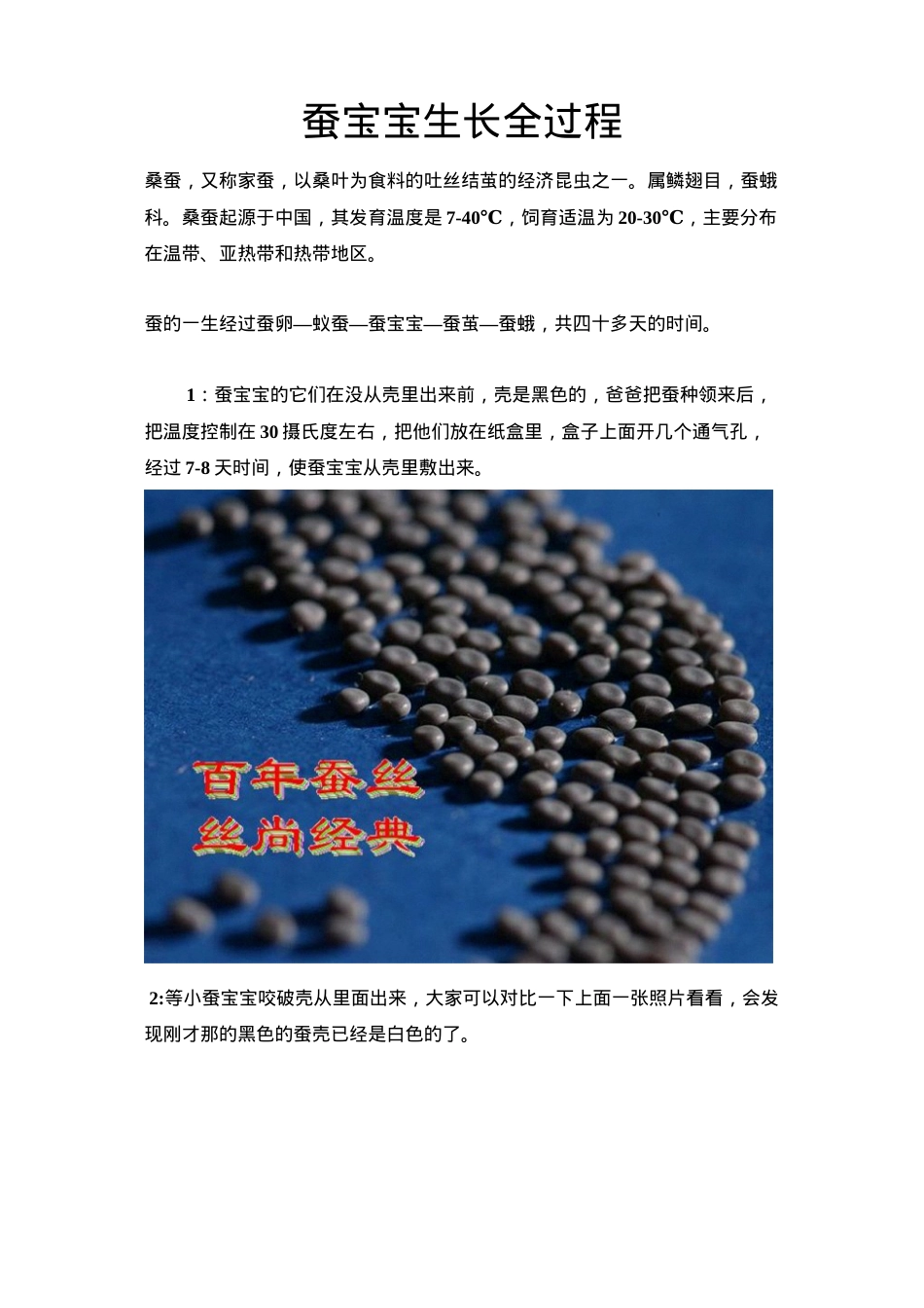 蚕宝宝生长全过程.docx_第1页