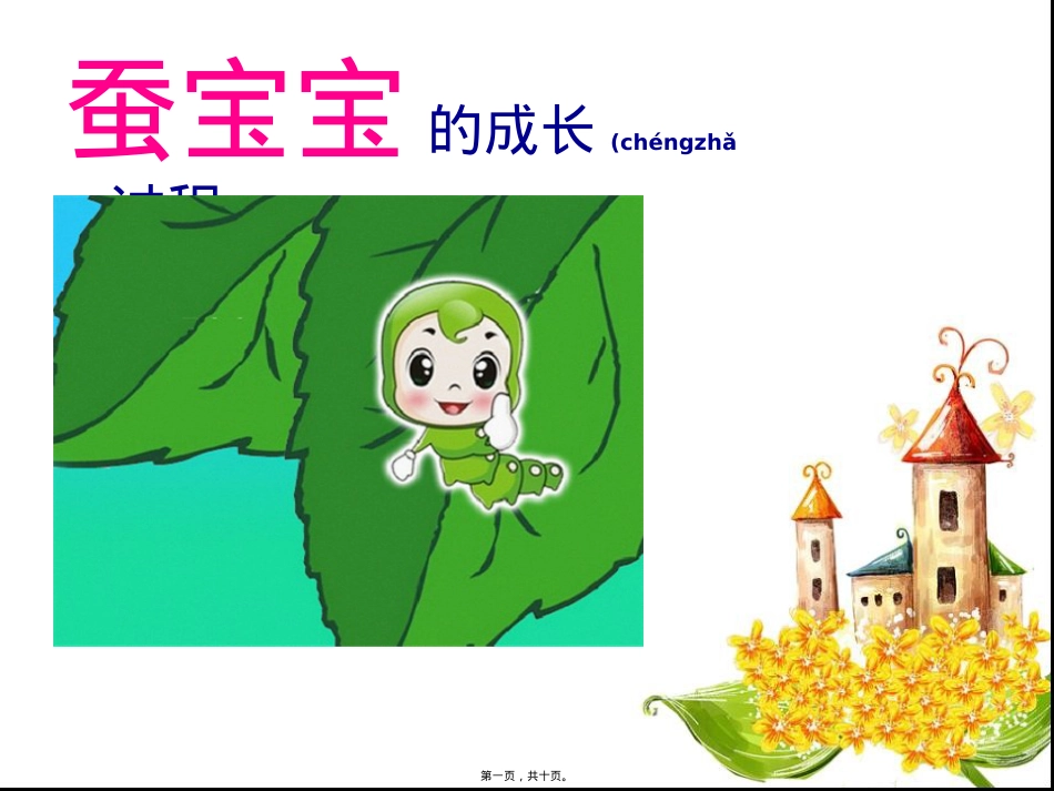 蚕的生长过程(儿童版).ppt_第1页