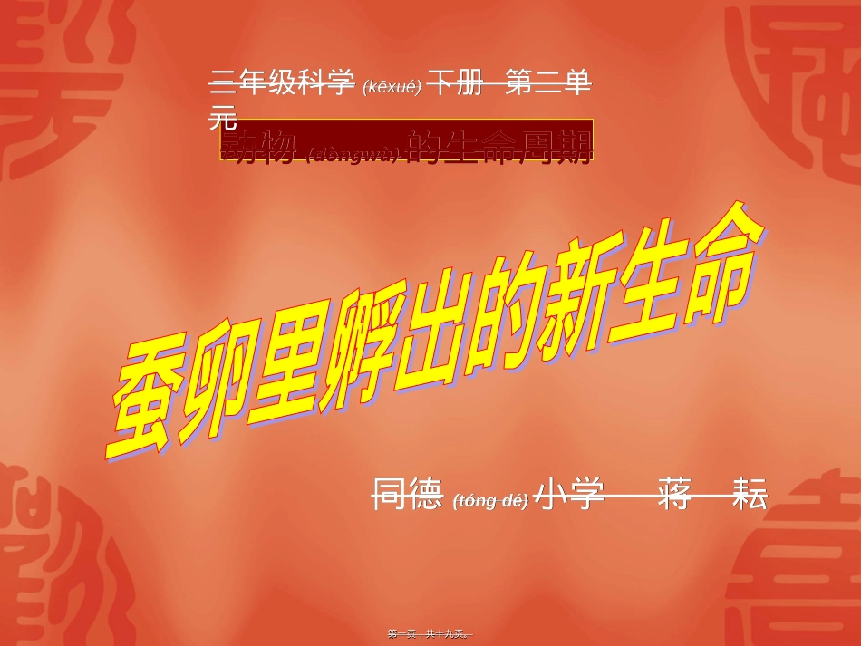 蚕卵里孵出的新生命.ppt_第1页