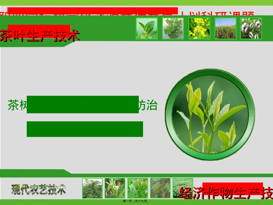 茶树病虫害防治的方法二.ppt_第1页