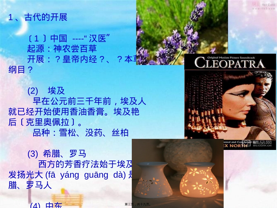 芳疗ppt.ppt（大秘书文库）_第3页