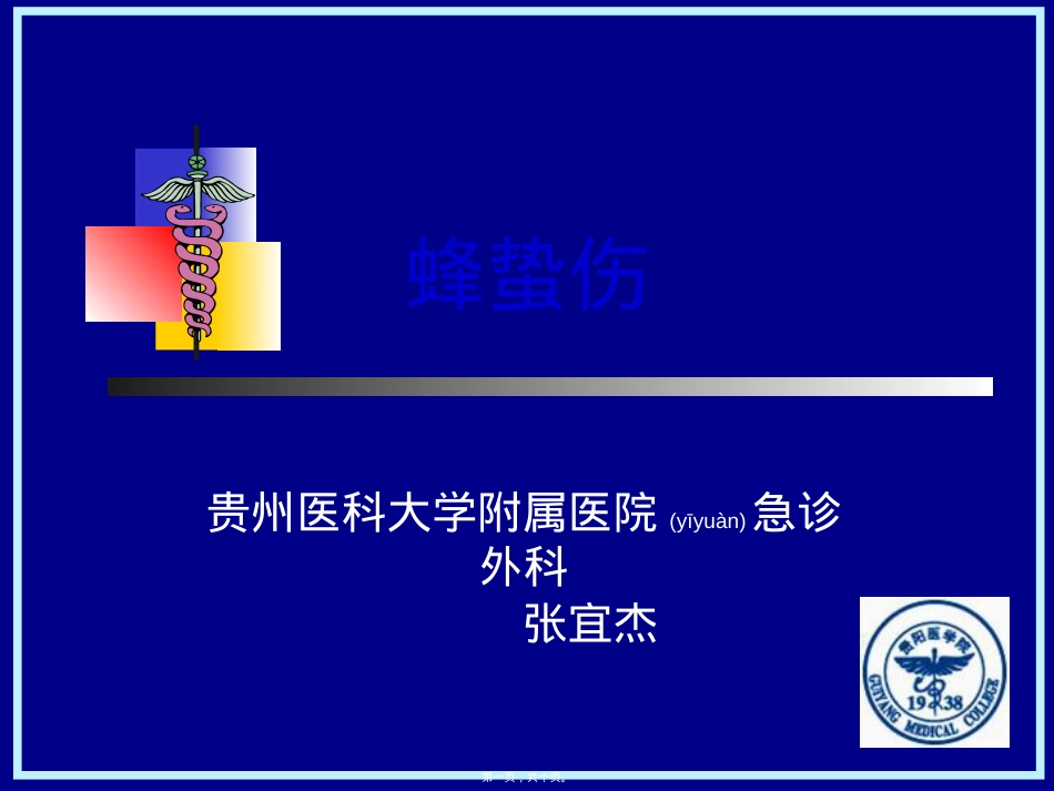 蜂蛰伤.ppt（大秘书文库）_第1页