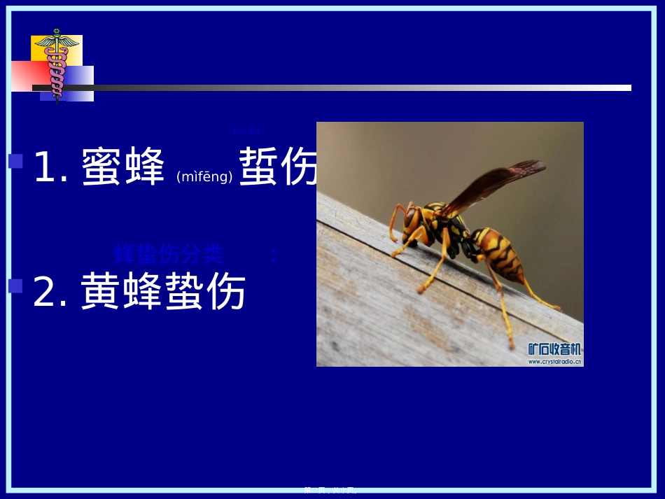 蜂蛰伤.ppt（大秘书文库）_第2页