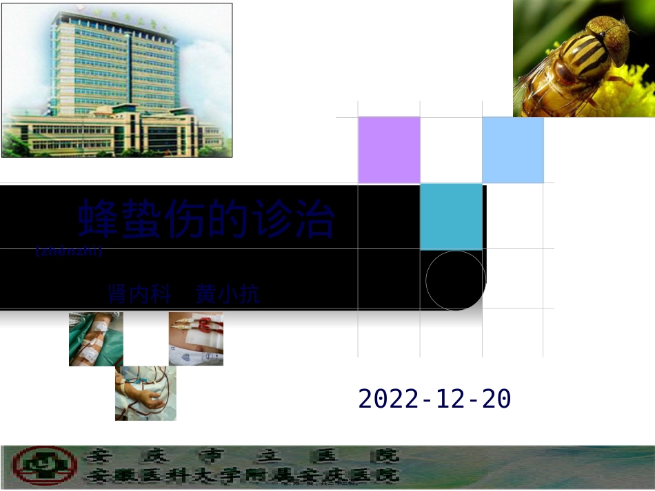 蜂蛰伤的诊治(AKI).pptx（大秘书文库）_第1页