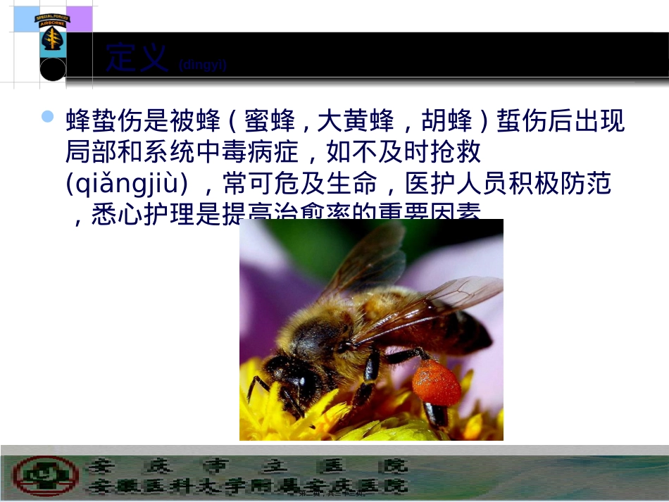 蜂蛰伤的诊治(AKI).pptx（大秘书文库）_第2页