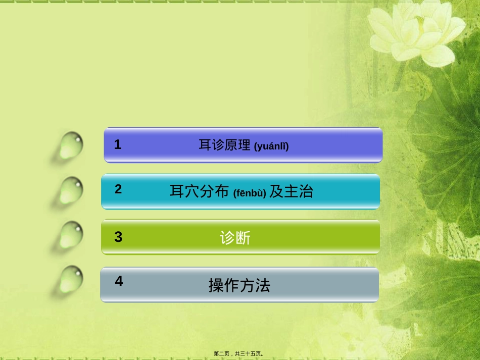 荷塘模耳穴.ppt（大秘书文库）_第2页