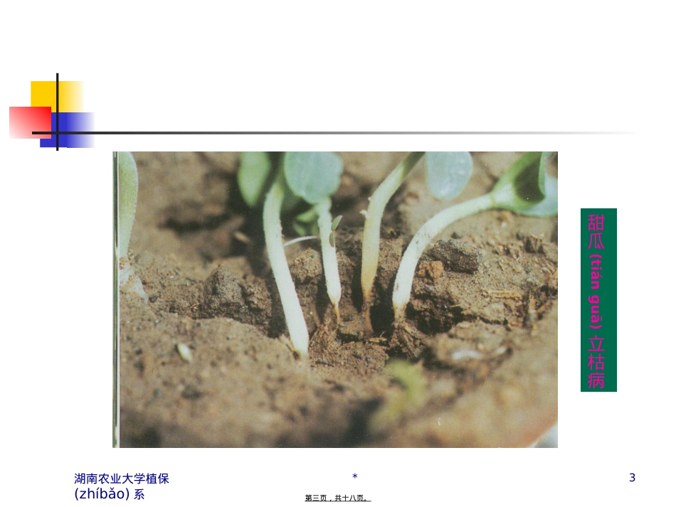 葫芦科蔬菜病虫害防治.ppt（大秘书文库）_第3页