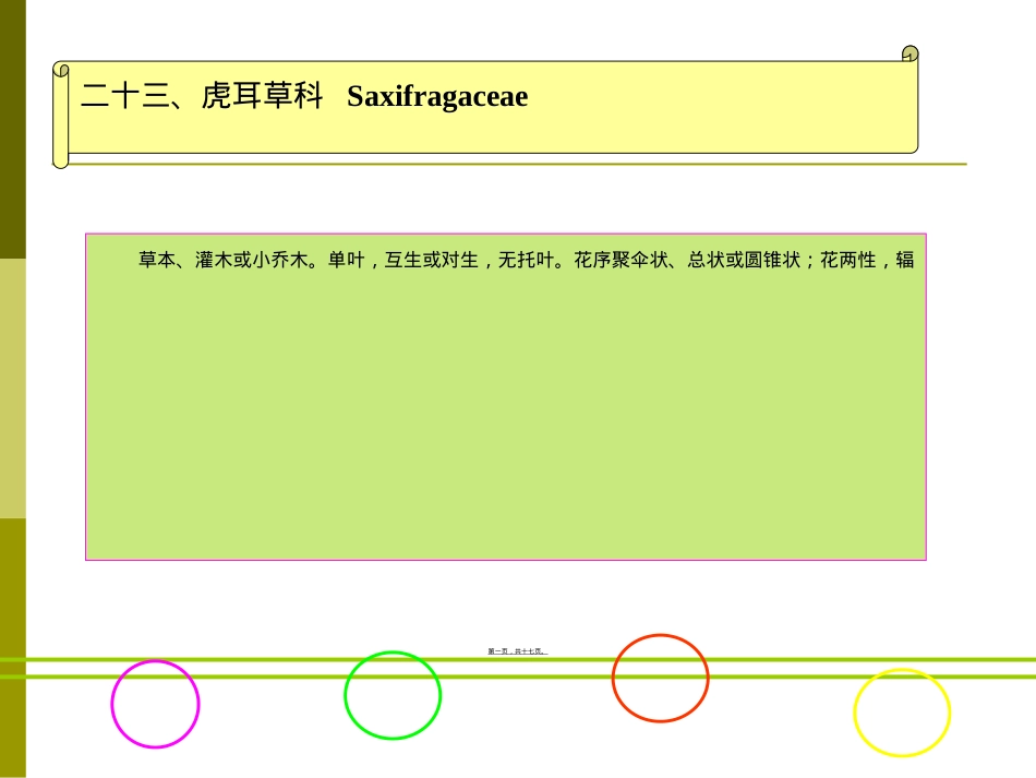 虎耳草科.ppt（大秘书文库）_第1页