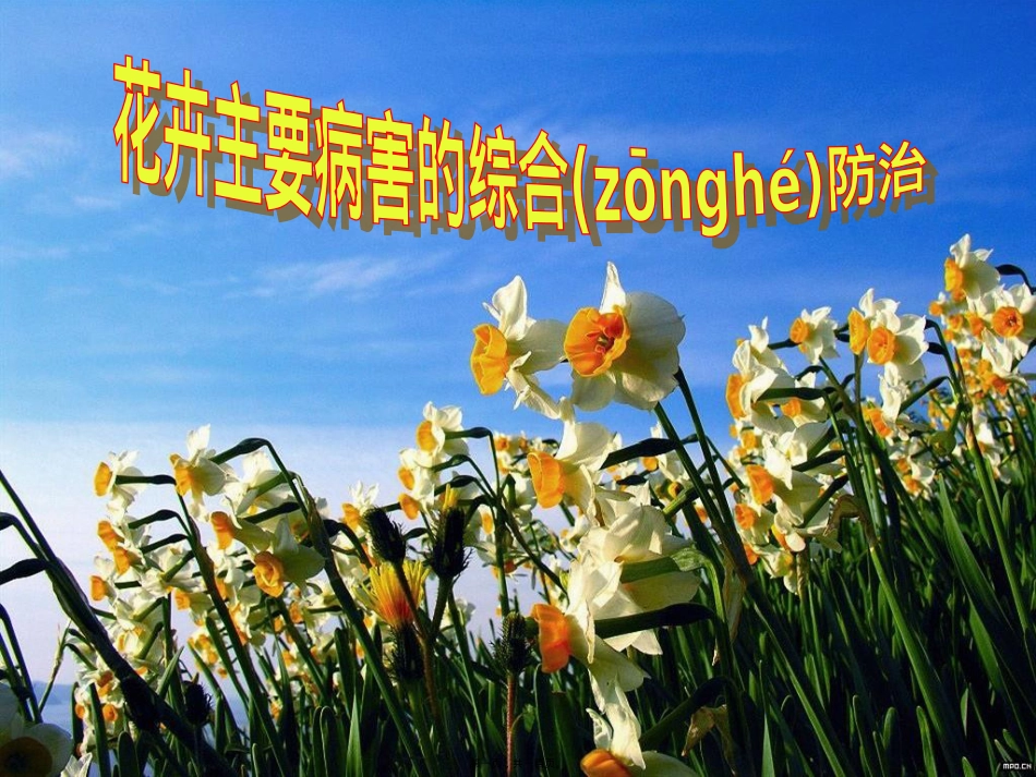 花卉主要病害的综合防治.ppt（大秘书文库）_第1页