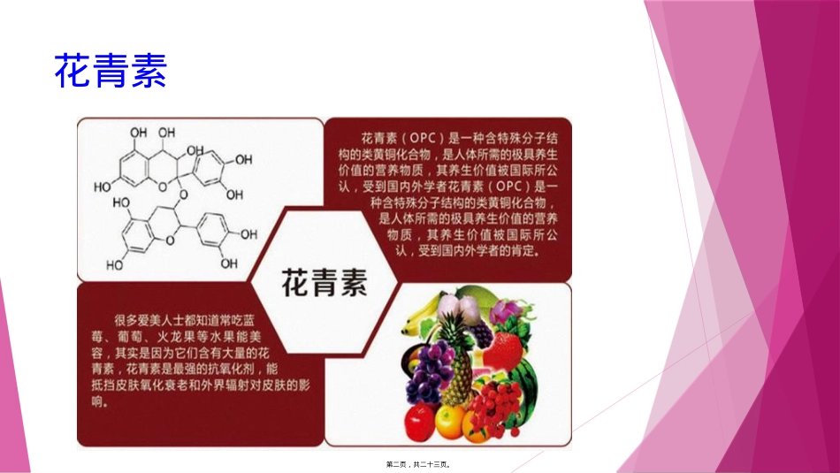 花青素摄入及其对人体的影响.pptx（大秘书文库）_第2页