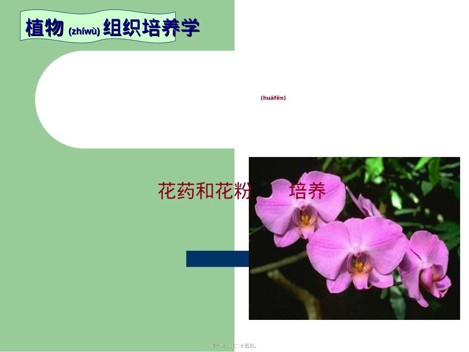花药和花粉培养.ppt（大秘书文库）_第1页