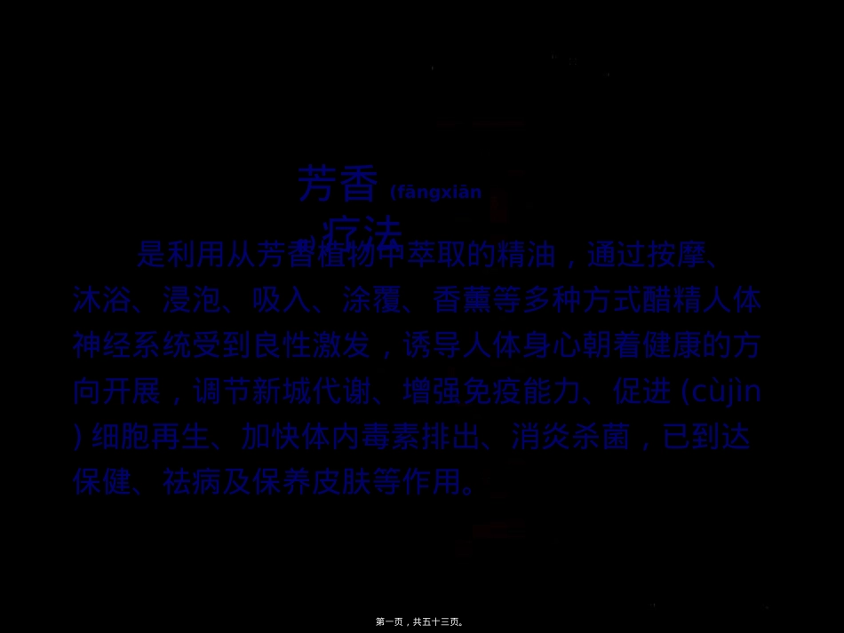 荟亦美芳疗精油SPA.ppt（大秘书文库）_第1页