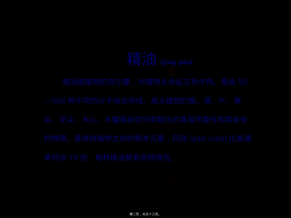 荟亦美芳疗精油SPA.ppt（大秘书文库）_第2页