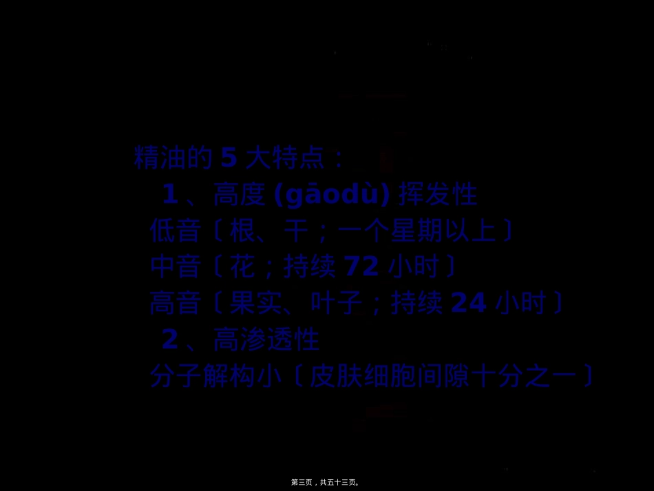 荟亦美芳疗精油SPA.ppt（大秘书文库）_第3页
