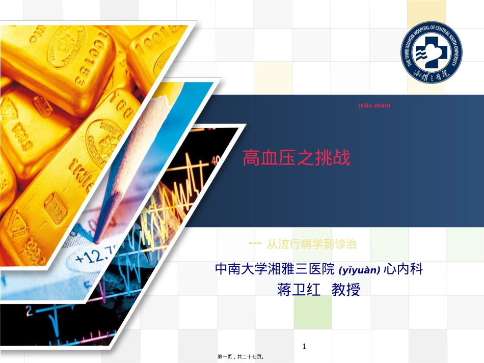蒋卫红-2014年会讲座：高血压之挑战.ppt（大秘书文库）_第1页