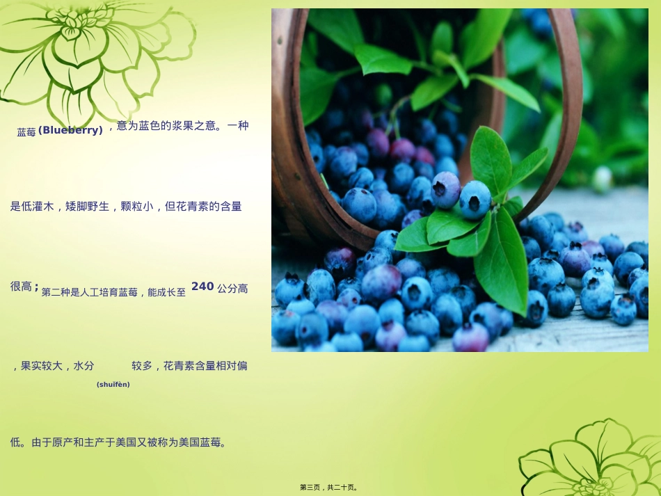 蓝莓的营养与健康.ppt（大秘书文库）_第3页