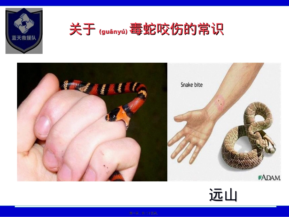 蓝天救援队蛇咬伤资料(远山).ppt（大秘书文库）_第1页