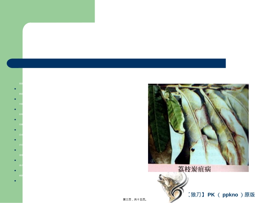 荔枝龙眼病害篇研究.ppt（大秘书文库）_第3页