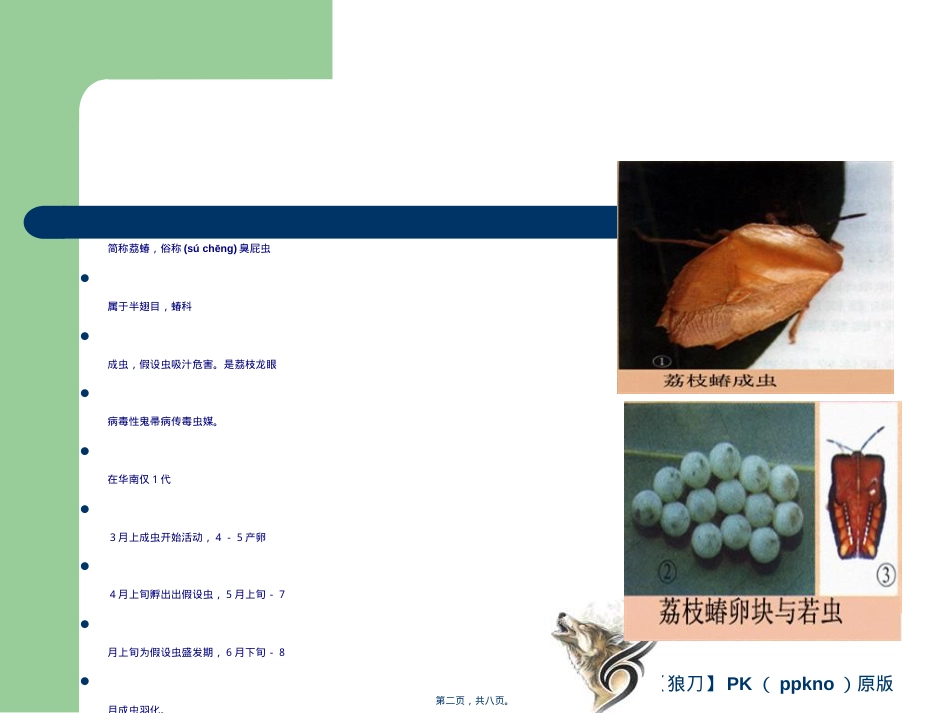 荔枝龙眼虫害篇.ppt（大秘书文库）_第2页