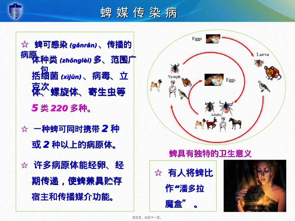蜱媒传染病.ppt（大秘书文库）_第3页