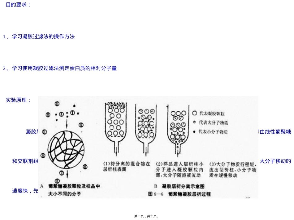 葡聚糖凝胶测蛋白质分子量.ppt（大秘书文库）_第2页