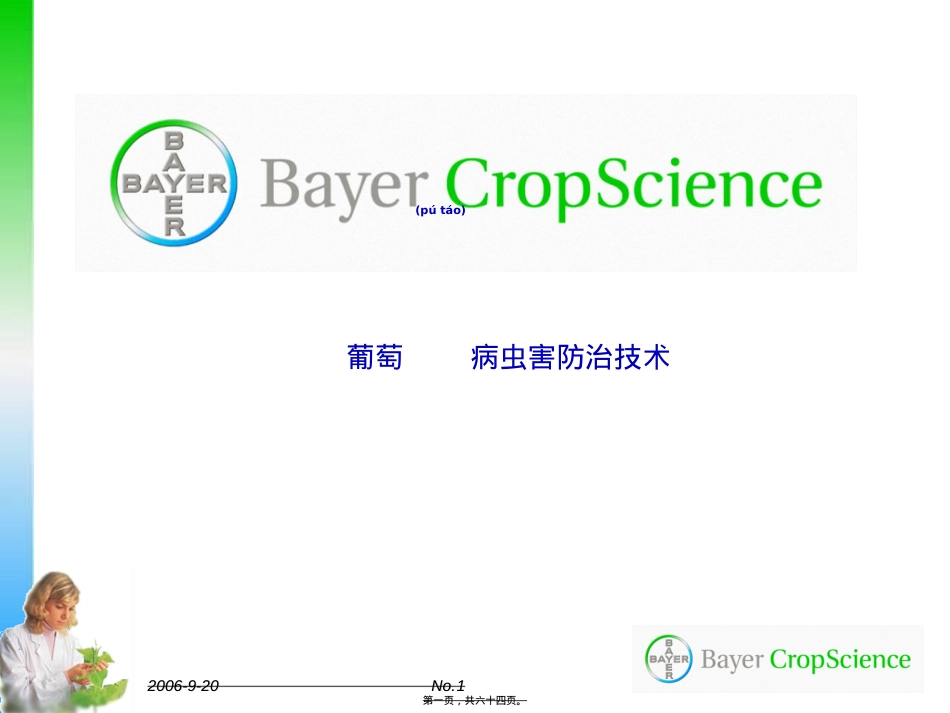 葡萄常见病虫害.ppt（大秘书文库）_第1页