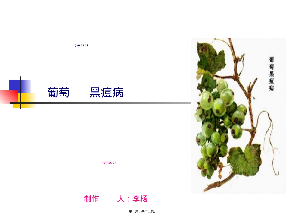 葡萄黑豆病.ppt（大秘书文库）_第1页