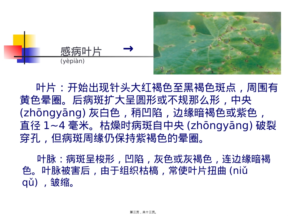 葡萄黑豆病.ppt（大秘书文库）_第3页
