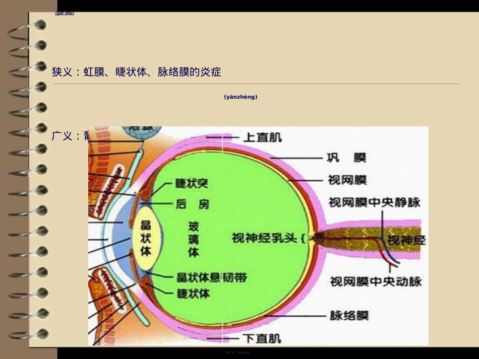 葡萄膜炎的健康指导.ppt（大秘书文库）_第2页