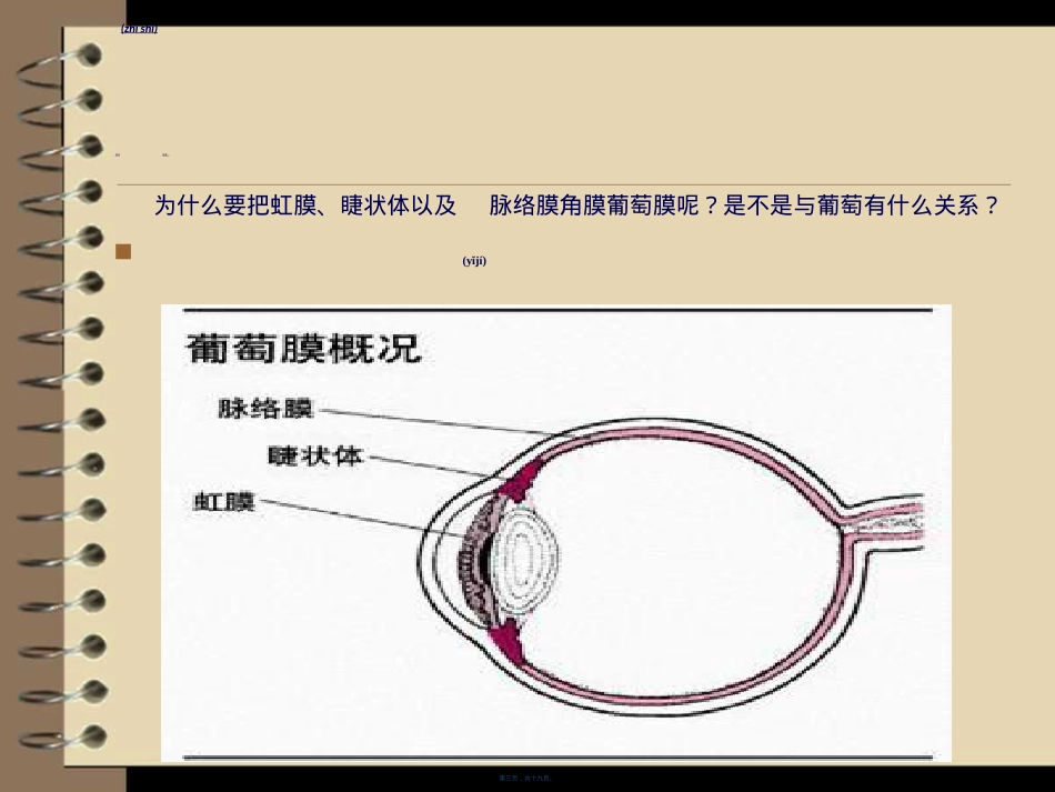 葡萄膜炎的健康指导.ppt（大秘书文库）_第3页