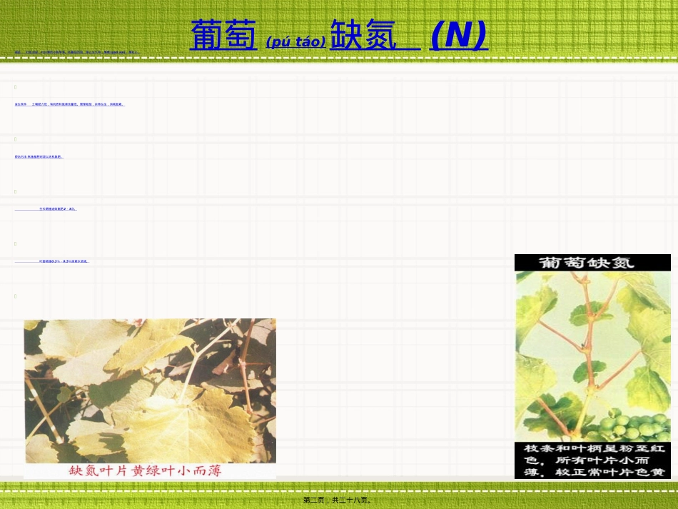 葡萄缺素症状大全...ppt（大秘书文库）_第2页