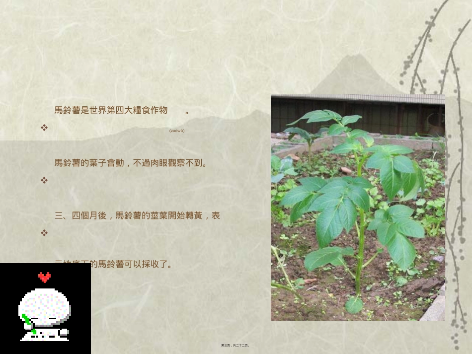 茄科植物的外科手术.ppt（大秘书文库）_第3页