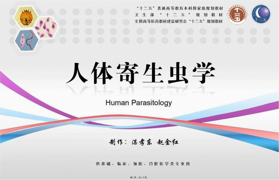 蠕形住肠线虫(蛲虫).ppt（大秘书文库）_第2页