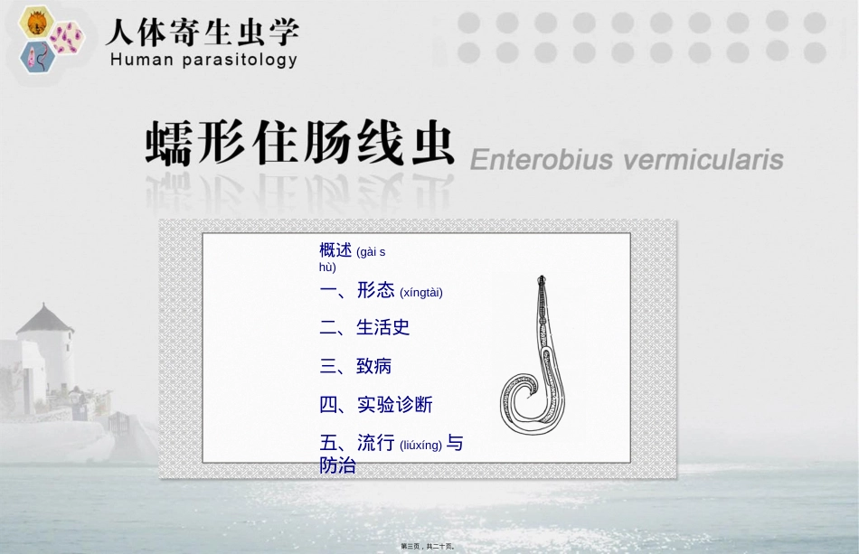 蠕形住肠线虫(蛲虫).ppt（大秘书文库）_第3页
