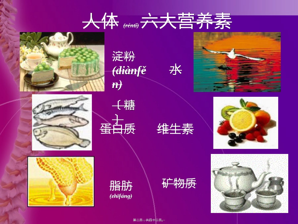 膳食纤维与人体健康.ppt（大秘书文库）_第2页
