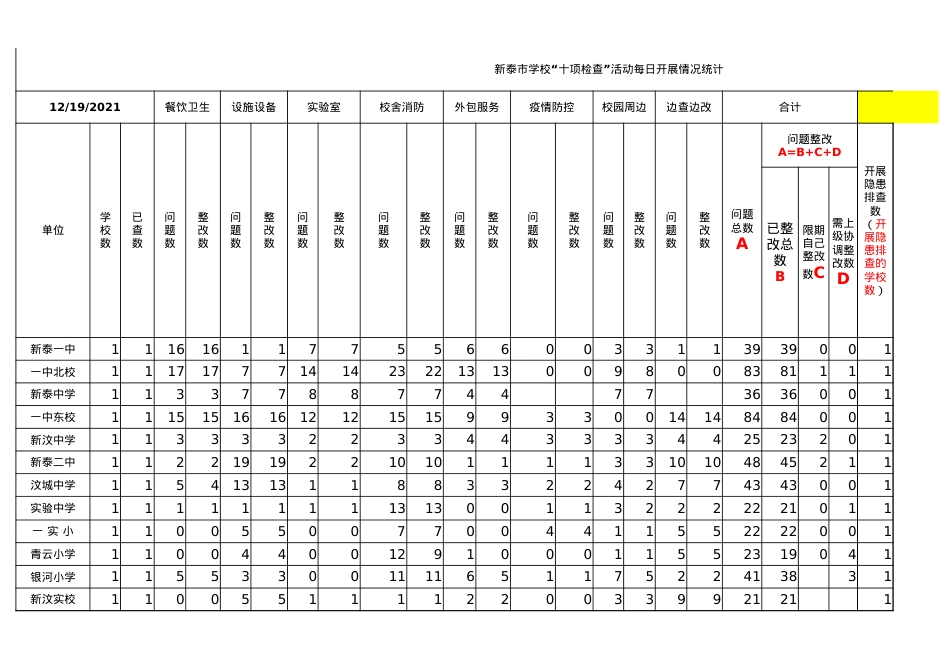 十项检查每日工作情况统计（12.19）.xlsx_第1页