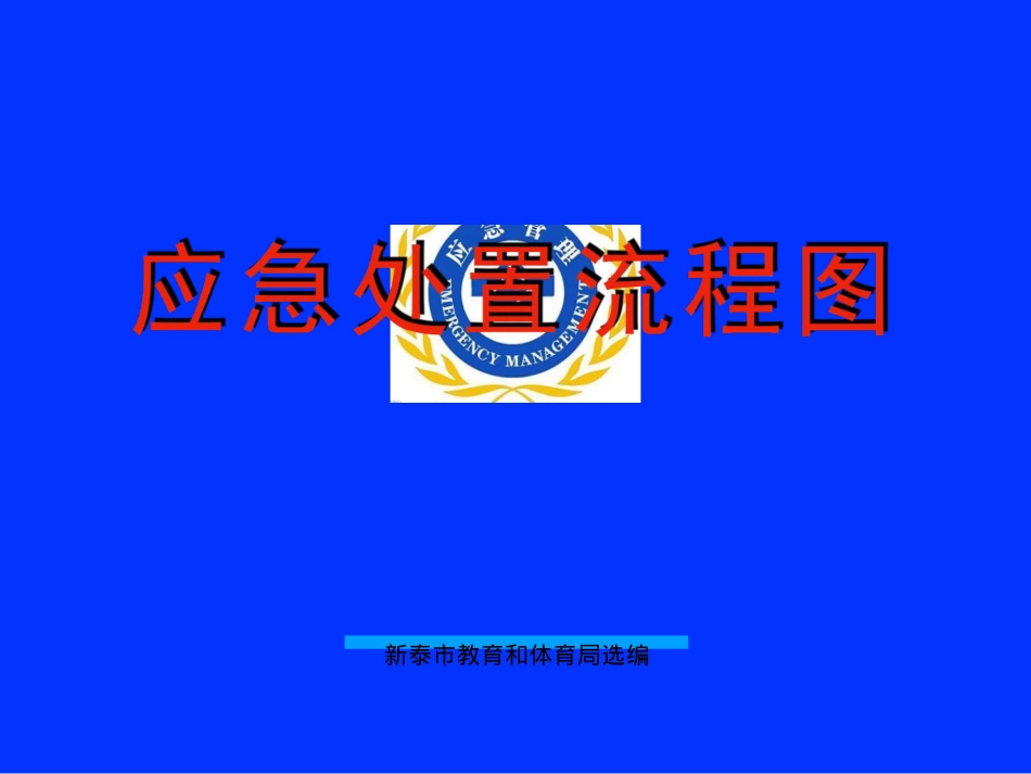 事故处置流程5.24(3).doc_第1页