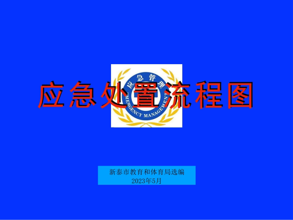 事故处置流程5.24.pdf_第1页