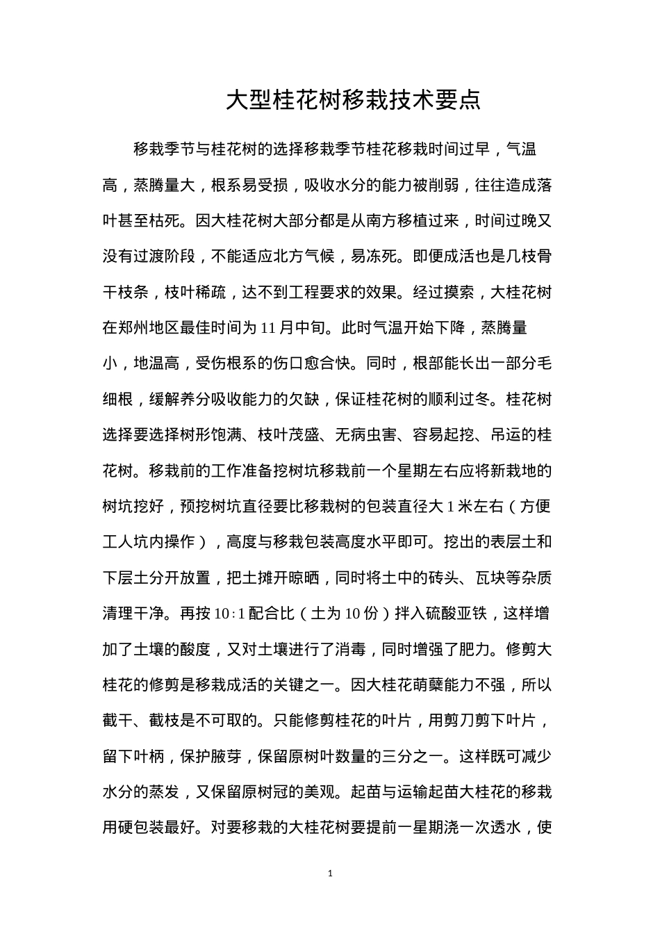 大型桂花树移栽技术要点.docx_第1页