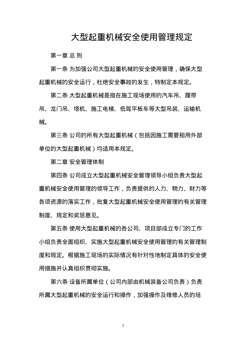 大型起重机械安全使用管理规定.docx_第1页