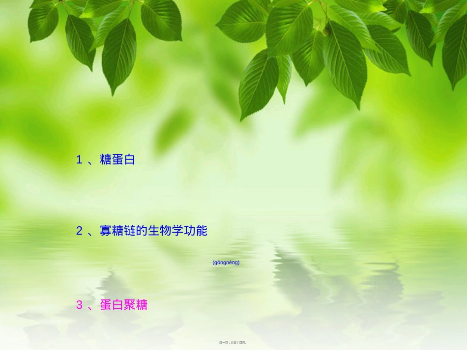 蛋白聚糖2010.ppt_第1页