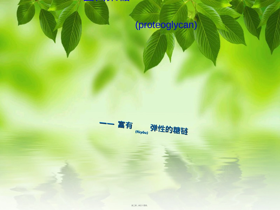 蛋白聚糖2010.ppt_第2页