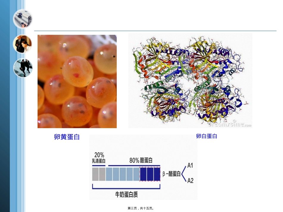 蛋白质-20180918.ppt_第3页