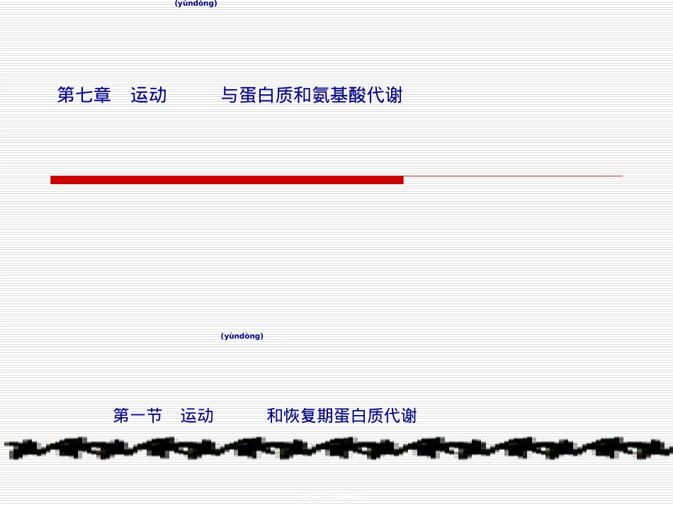 蛋白质代谢与运动.ppt_第1页