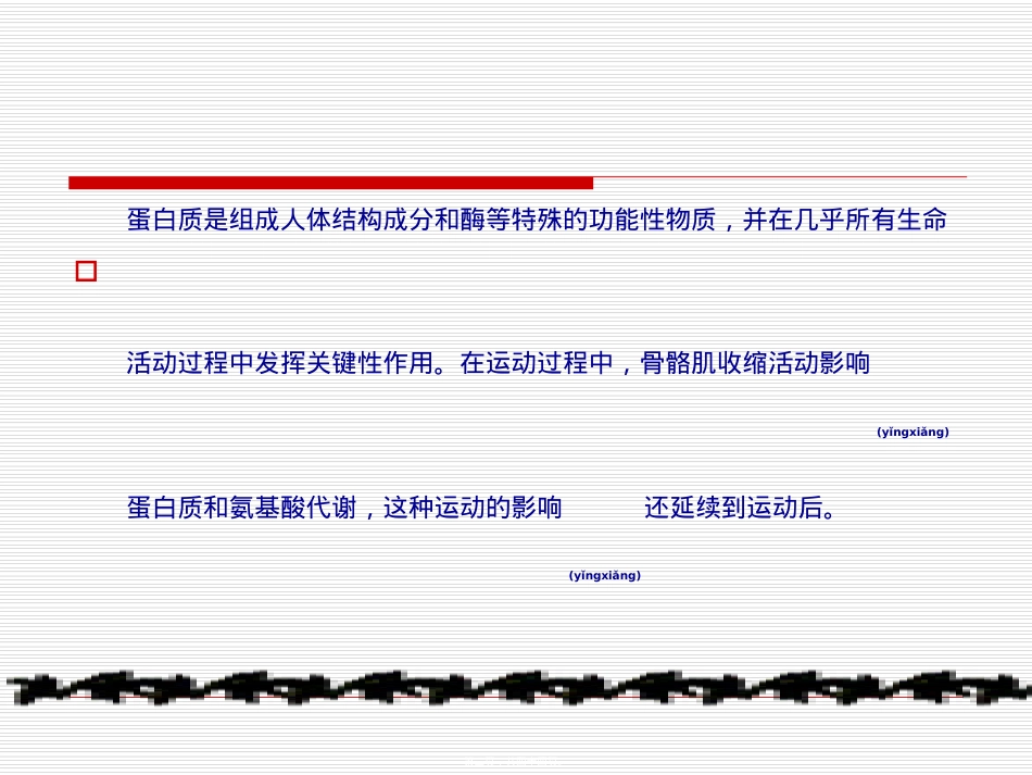 蛋白质代谢与运动.ppt_第2页