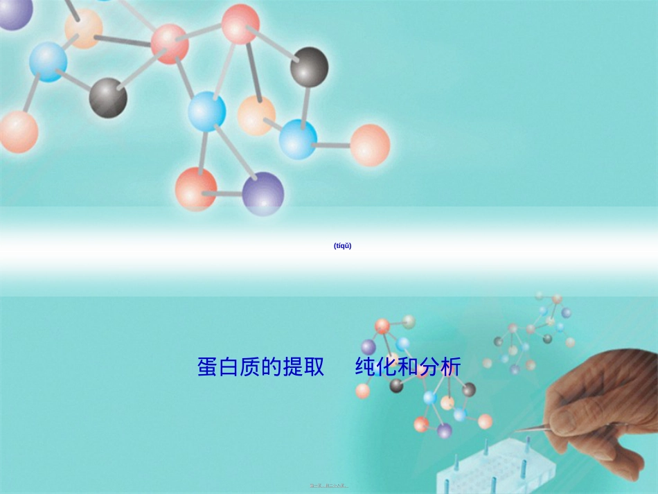 蛋白质的提取纯化和素材.ppt_第1页